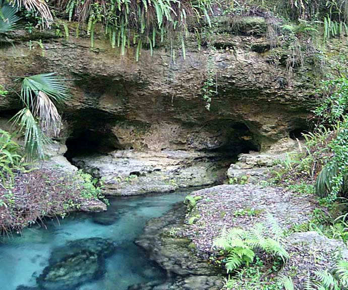 Florida Formations Stetson University